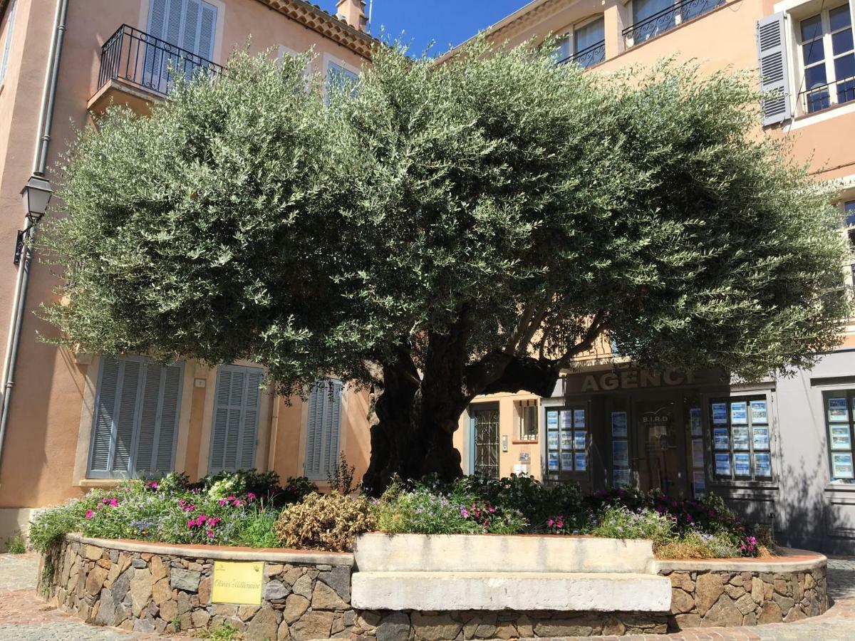 سانت ماكسيم Bastide Du Levant المظهر الخارجي الصورة